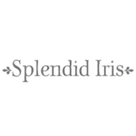 Splendid Iris